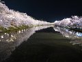 P1000363