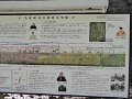 P1000495