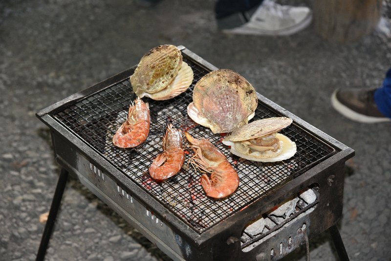 DSC_3995.JPG