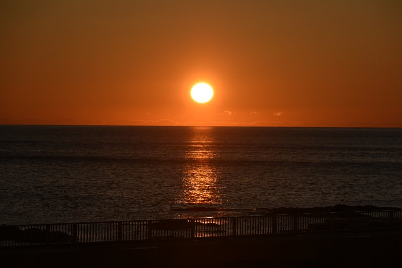 DSC_5656.JPG