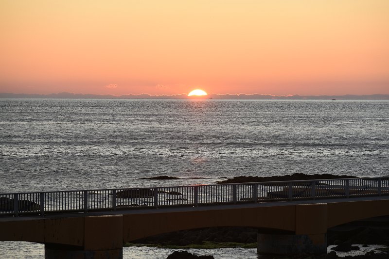 DSC_5671.JPG
