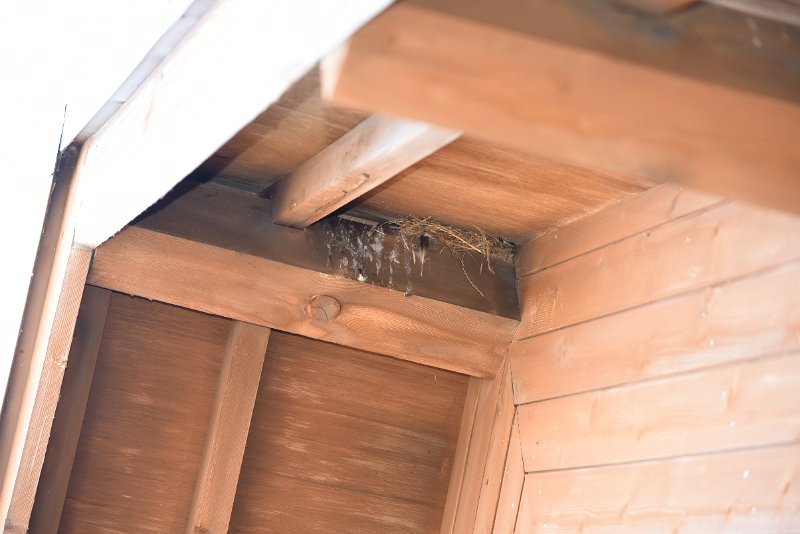 DSC_5785.JPG