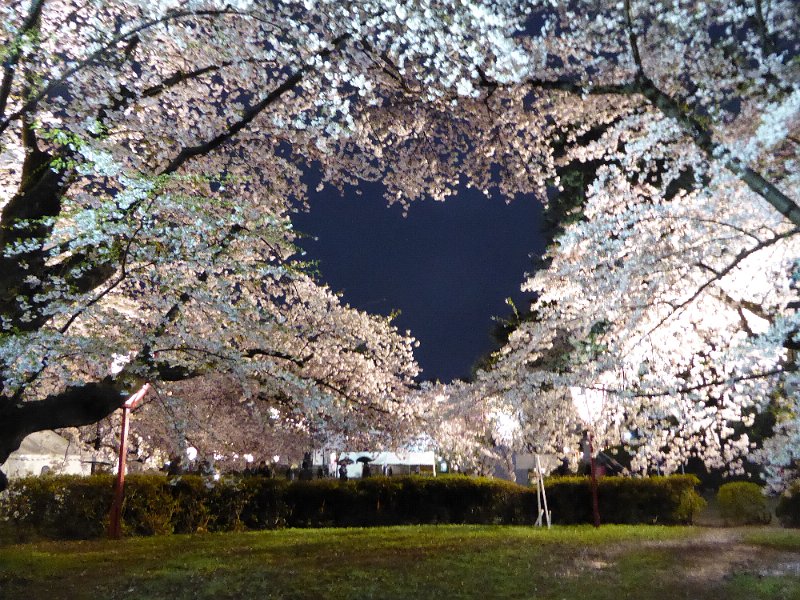 P1020686.JPG