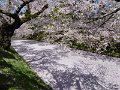 P1030128