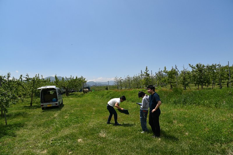 DSC_7682.JPG