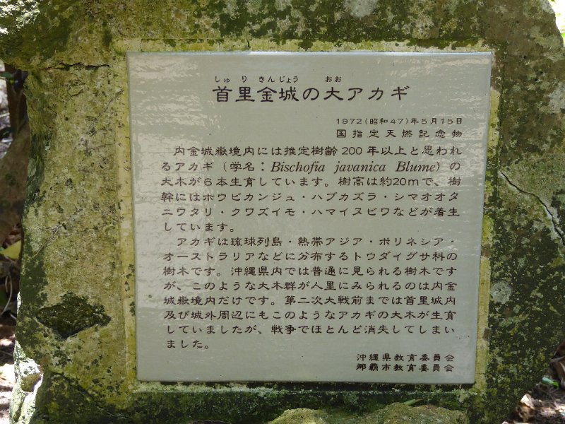 P1030271.JPG
