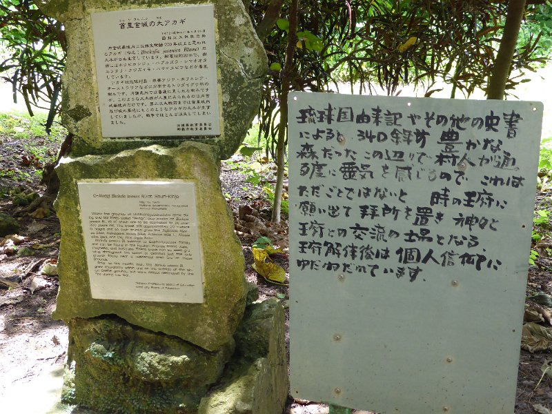 P1030272.JPG
