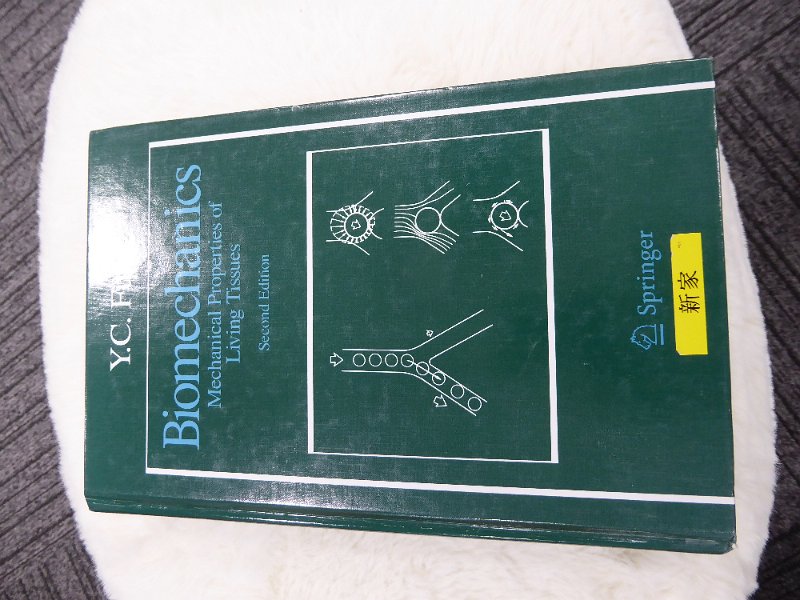 P1030816.JPG