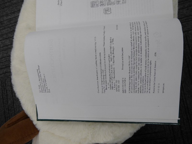 P1030817.JPG