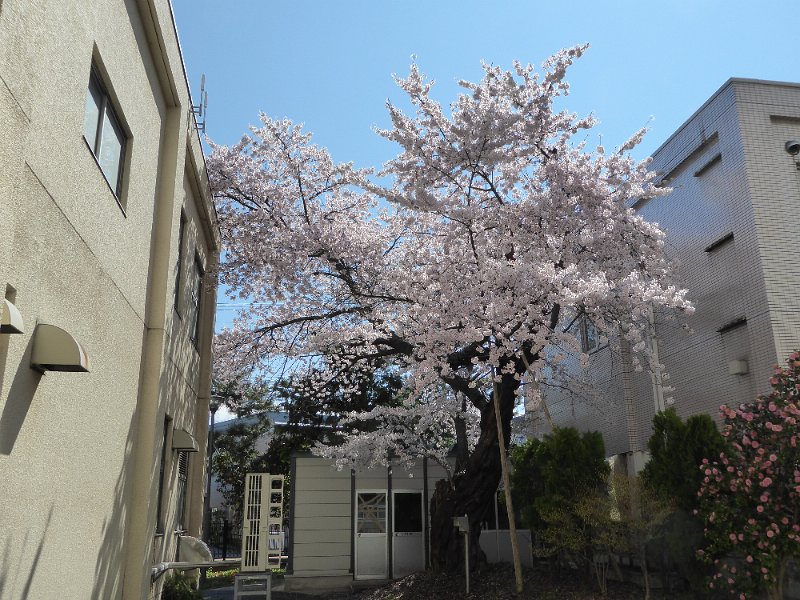P1040153.JPG