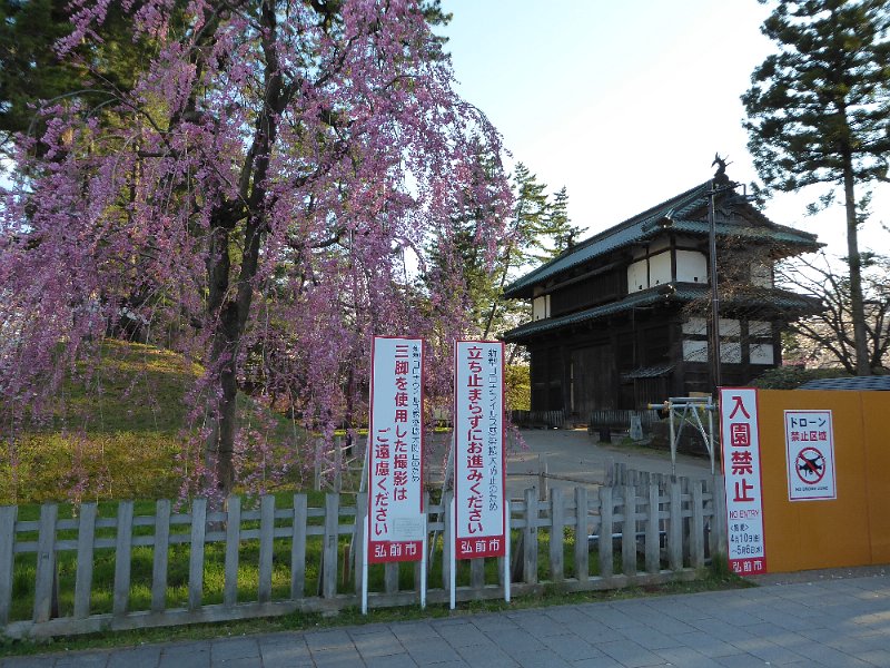 P1040162.JPG