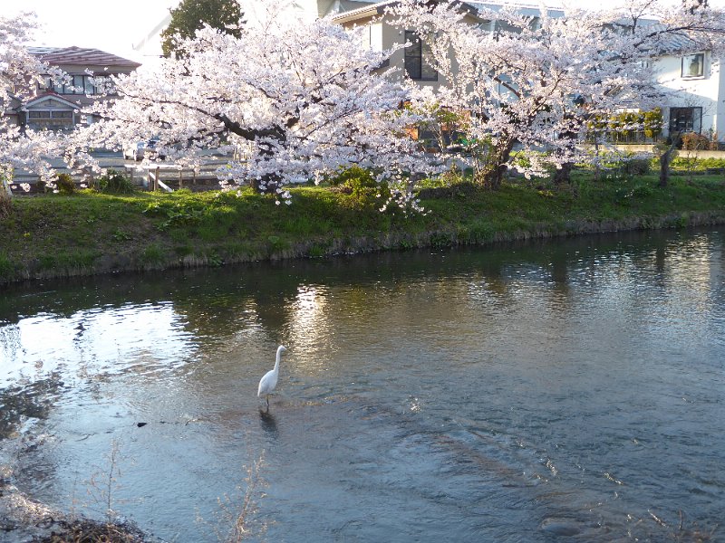 P1040176.JPG