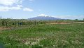 IMG_20200505_121848