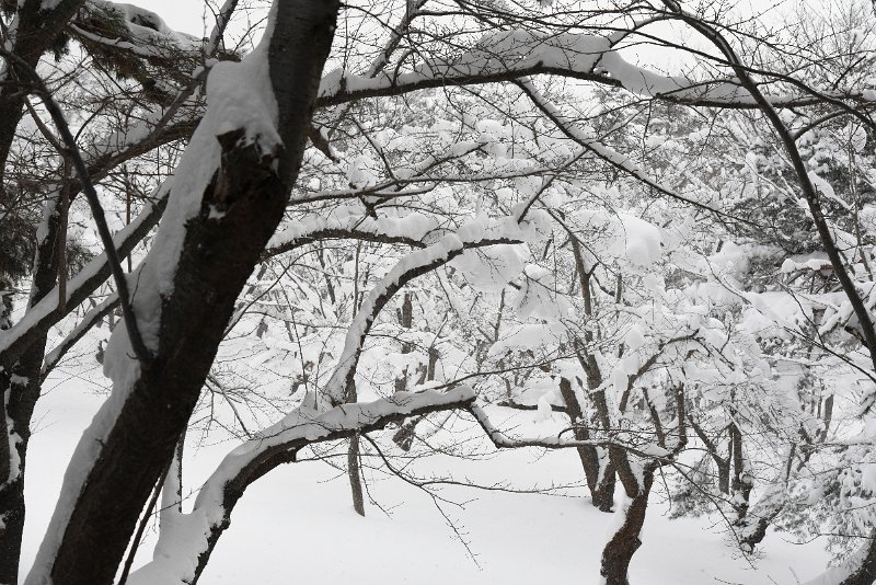 DSC_0602.JPG