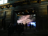 DSC 0595