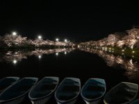 DSC 0600