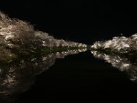 DSC 0610