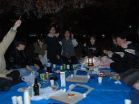 DSC 0239